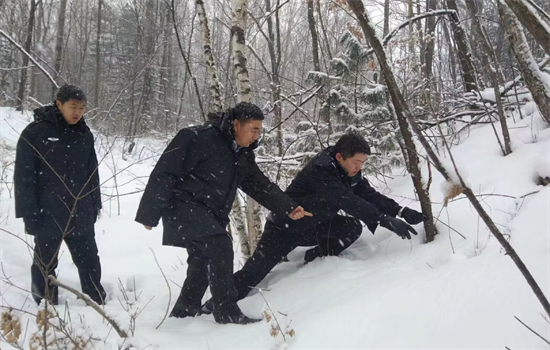 1704849226203267.jpg 1.jpg