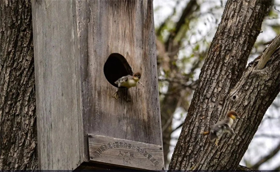 1740983376133856.jpg 4.jpg