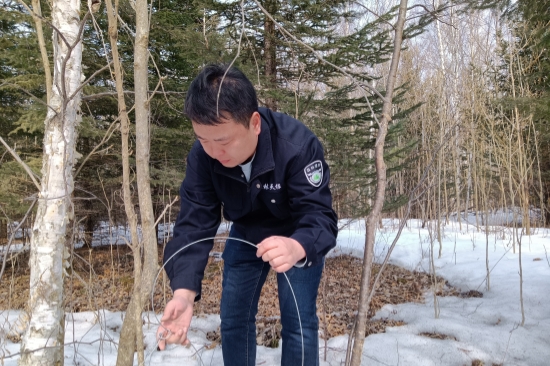 1741827069847404.jpg 明水林場開展“清山清套”專項行動筑牢野生動物保護屏障(3).jpg