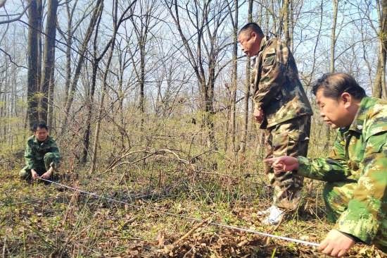 大東林場(chǎng)黨支部開展“科學(xué)造林育林 實(shí)現(xiàn)永續(xù)利用”主題黨日活動(dòng)（1）.jpg